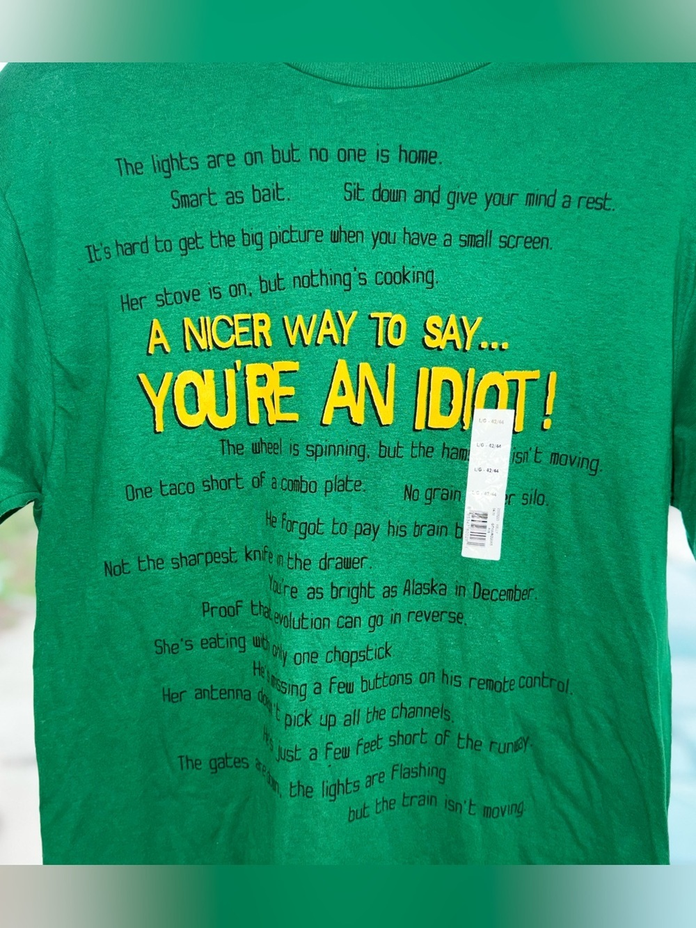 Delta Pro Weight You’re an Idiot Funny Graphic T-Shirt Men’s L Green Novelty New - Picture 2 of 10
